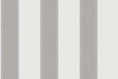 33329-1 cikkszámú tapéta,  Architects Paper Alpha tapéta katalógusából Csíkos,dekor,metál-fényes,barna,bézs-drapp,ezüst,gyengén mosható,illesztés mentes,vlies tapéta