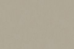33372-4 cikkszámú tapéta,  Architects Paper Alpha tapéta katalógusából Egyszínű,különleges felületű,barna,gyengén mosható,illesztés mentes,vlies tapéta