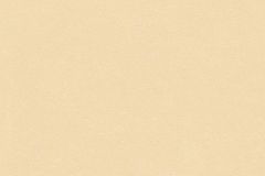 35111-3 cikkszámú tapéta,  Architects Paper Luxury Classics tapéta katalógusából Dekor,egyszínű,különleges felületű,metál-fényes,narancs-terrakotta,súrolható,illesztés mentes,vlies tapéta