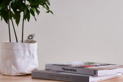 2494-25 cikkszámú tapéta,  As Creation Casual Living tapéta katalógusából Egyszínű,fehér,illesztés mentes,lemosható,vlies tapéta