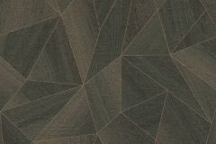 36133-4 cikkszámú tapéta,  As Creation Daniel Hechter 7 tapéta katalógusából Fa hatású-fa mintás,geometriai mintás,barna,fekete,súrolható,vlies tapéta