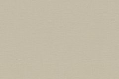 33609-3 cikkszámú tapéta,  As Creation Desert Lodge tapéta katalógusából Egyszínű,zöld,illesztés mentes,súrolható,vlies tapéta