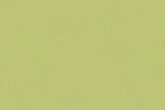 36694-5 cikkszámú tapéta,  As Creation Flavour tapéta katalógusából Egyszínű,különleges felületű,zöld,gyengén mosható,illesztés mentes,papír tapéta