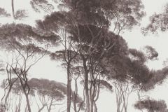 37651-1 cikkszámú tapéta,  As Creation History of Art tapéta katalógusából Természeti mintás,barna,fehér,súrolható,vlies tapéta