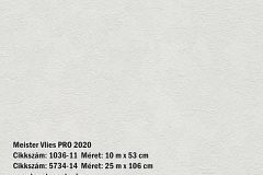 1036-11 cikkszámú tapéta,  As Creation Meister Vlies 2020 tapéta katalógusából ,lemosható,illesztés mentes,vlies tapéta