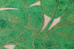 36927-3 cikkszámú tapéta,  As Creation Metropolitan Stories tapéta katalógusából Különleges felületű,természeti mintás,arany,bézs-drapp,zöld,súrolható,vlies tapéta