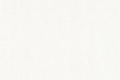 35858-2 cikkszámú tapéta,  As Creation Profitex Premium tapéta katalógusából Egyszínű,különleges felületű,fehér,lemosható,illesztés mentes,vlies tapéta
