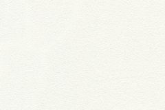 3250-13 cikkszámú tapéta,  As Creation Shades of White tapéta katalógusából Egyszínű,fehér,illesztés mentes,lemosható,vlies tapéta