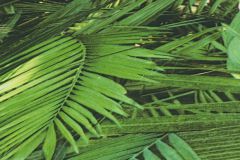 38054-1 cikkszámú tapéta,  As Creation The Wall Cover tapéta katalógusából Természeti mintás,zöld,lemosható,anyagában öntapadós  tapéta