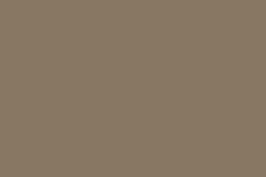 7974 cikkszámú tapéta,  Boras Pigment (új) tapéta katalógusából Egyszínű,barna,bronz,lemosható,illesztés mentes,vlies tapéta