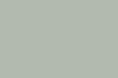 7980 cikkszámú tapéta,  Boras Pigment (új) tapéta katalógusából Egyszínű,zöld,lemosható,illesztés mentes,vlies tapéta
