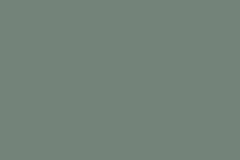 7981 cikkszámú tapéta,  Boras Pigment (új) tapéta katalógusából Egyszínű,zöld,illesztés mentes,lemosható,vlies tapéta