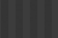 G67556 cikkszámú tapéta,  Galerie Smart Stripes 3 tapéta katalógusából Csíkos,fekete,illesztés mentes,súrolható,vlies tapéta