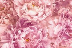 XXL2-009 cikkszámú tapéta,  Komar Flowers and Textures (Imagine 2) tapéta katalógusából Virágmintás,pink-rózsaszín,sárga,gyengén mosható,vlies poszter, fotótapéta