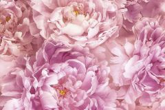 XXL2-009 cikkszámú tapéta,  Komar Into Illusions 2 tapéta katalógusából Fotórealisztikus,virágmintás,fehér,pink-rózsaszín,sárga,gyengén mosható,vlies poszter, fotótapéta