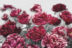 XXL4-002 cikkszámú tapéta,  Komar Into Illusions 2 tapéta katalógusából Fotórealisztikus,virágmintás,fehér,pink-rózsaszín,sárga,gyengén mosható,vlies poszter, fotótapéta