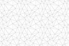 6033A-VD2 cikkszámú tapéta,  Komar Komar Infinity tapéta katalógusából 3d hatású,absztrakt,geometriai mintás,különleges motívumos,fehér,szürke,vlies poszter, fotótapéta