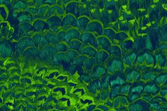 P019-VD2 cikkszámú tapéta,  Komar Komar Pure tapéta katalógusából Természeti mintás,zöld,vlies poszter, fotótapéta