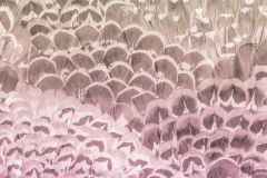 P028-VD2 cikkszámú tapéta,  Komar Komar Pure tapéta katalógusából Absztrakt,barna,pink-rózsaszín,vlies poszter, fotótapéta