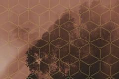 PSH099-VD2 cikkszámú tapéta,  Komar Komar Pure tapéta katalógusából Geometriai mintás,természeti mintás,piros-bordó,vlies poszter, fotótapéta