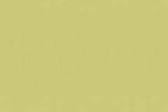 31345 cikkszámú tapéta,  Marburg La Veneziana 4 tapéta katalógusából Egyszínű,különleges felületű,zöld,lemosható,illesztés mentes,vlies tapéta