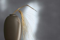 35757 cikkszámú tapéta,  Novamur Boho tapéta katalógusából Súrolható,illesztés mentes,vlies  tapéta