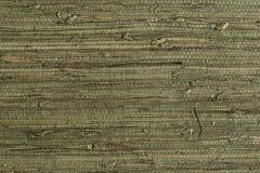 219134 cikkszámú tapéta,  Rasch Textil Contempo tapéta katalógusából Különleges felületű,természeti mintás,zöld,  tapéta