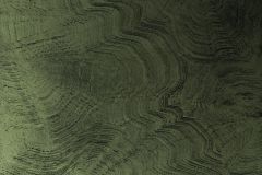 303642 cikkszámú tapéta,  Rasch Textil Contempo tapéta katalógusából Absztrakt,zöld,vlies panel, fotótapéta