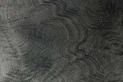303666 cikkszámú tapéta,  Rasch Textil Contempo tapéta katalógusából Absztrakt,fekete,szürke,vlies panel, fotótapéta