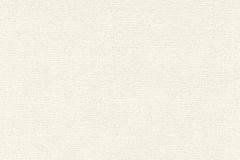 650501 cikkszámú tapéta,  Rasch Andy Wand tapéta katalógusából Egyszínű,fehér,lemosható,illesztés mentes,vlies tapéta