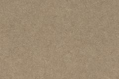 520286 cikkszámú tapéta,  Rasch Concrete tapéta katalógusából Barna,lemosható,vlies tapéta