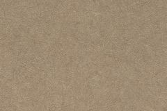 520286 cikkszámú tapéta,  Rasch Concrete tapéta katalógusából Barna,lemosható,vlies tapéta