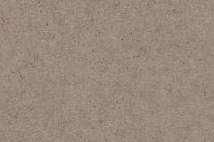 520873 cikkszámú tapéta,  Rasch Concrete tapéta katalógusából Egyszínű,barna,illesztés mentes,lemosható,vlies tapéta