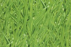 27-GRASS cikkszámú tapéta,  Rasch Covers: Elements tapéta katalógusából Különleges motívumos,természeti mintás,zöld,lemosható,papír tapéta