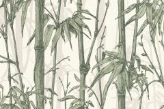 484847 cikkszámú tapéta,  Rasch Florentine 3 tapéta katalógusából Természeti mintás,zöld,lemosható,vlies tapéta