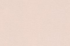 452006 cikkszámú tapéta,  Rasch Wall Textures V tapéta katalógusából Egyszínű,pink-rózsaszín,lemosható,illesztés mentes,vlies tapéta